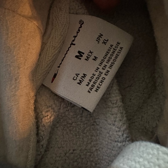 Disneyland Champion Hoodie - Picture 3 of 5